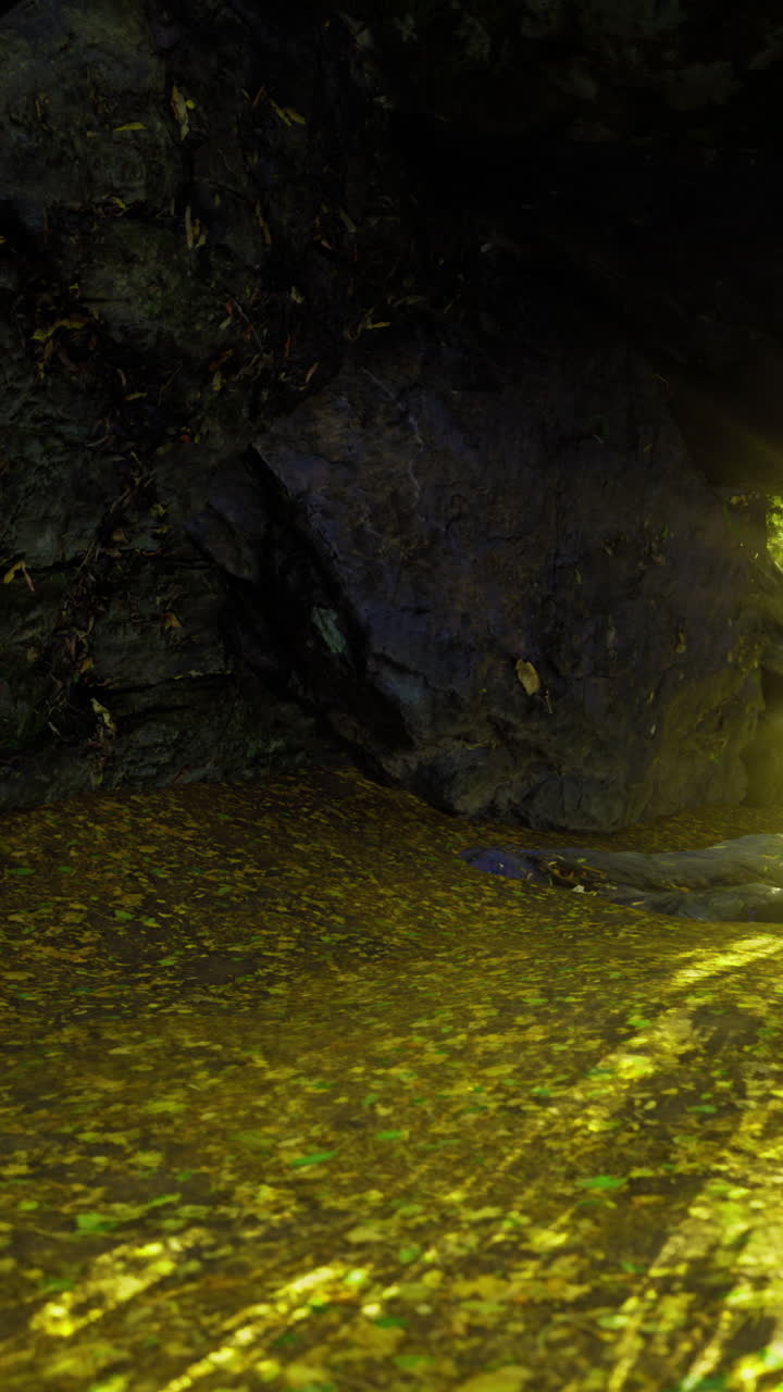 Bagliore affascinante di alghe bioluminescenti in una caletta rocciosa appartata di notte.