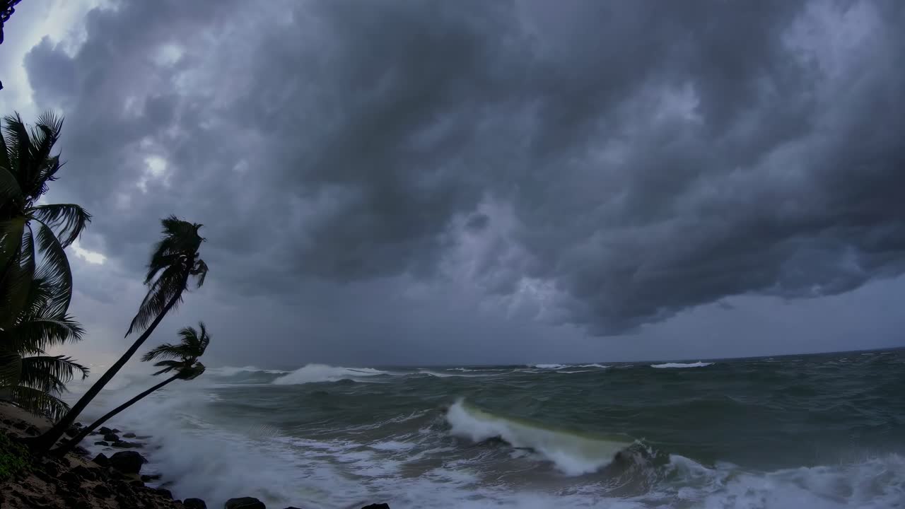 Dramatic wide-angle shot of stormy seas and palm trees under dark clouds, capturing a cinematic