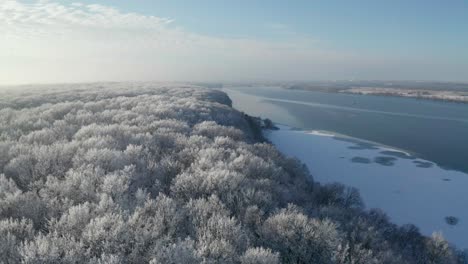 Tief-über-Frostigen-Baumwipfeln-Fliegend,-Enthüllen-Wir-Den-Eisigen-Fluss-Und-Den-Horizont