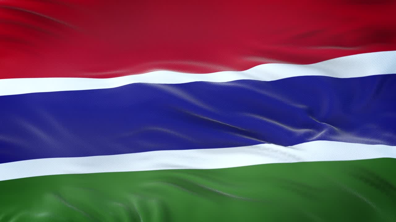 바람에 흔들리는 감비아 발, 매우 상세한 직물 질감.