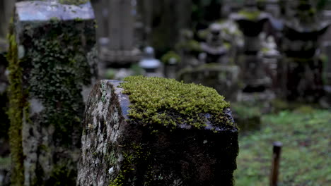 una escena tranquila capturando las lápidas cubiertas de musgo en el cementerio de okunoin en koyasan, japón