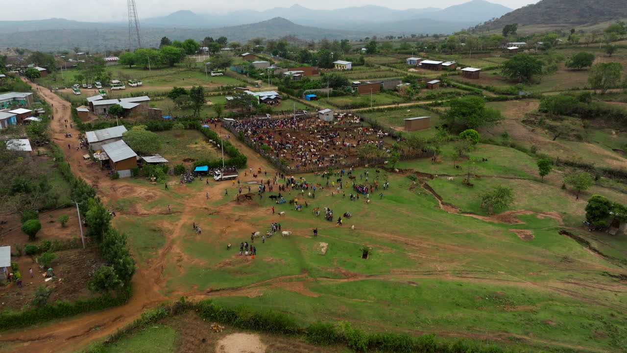 Drone view over bustling animal market in Kako