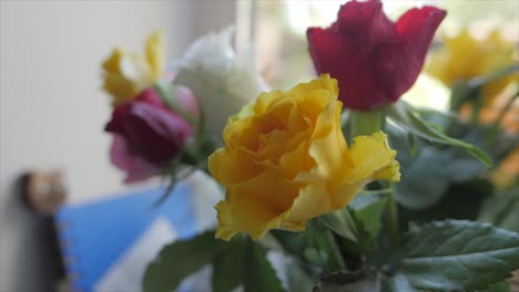 close up colorful flower in vase