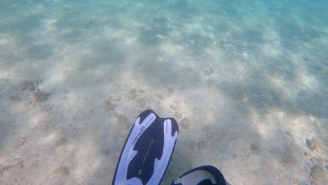 close-up under turquoise blue water of a diver flapping his fins