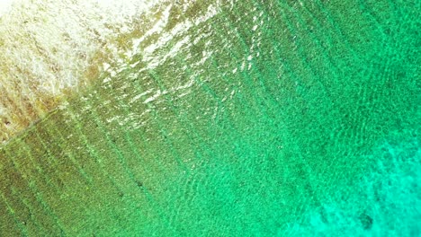 beautiful colorful sea texture with clean water of turquoise lagoon over sandy seabed reflecting sunlight and white waves in bahamas