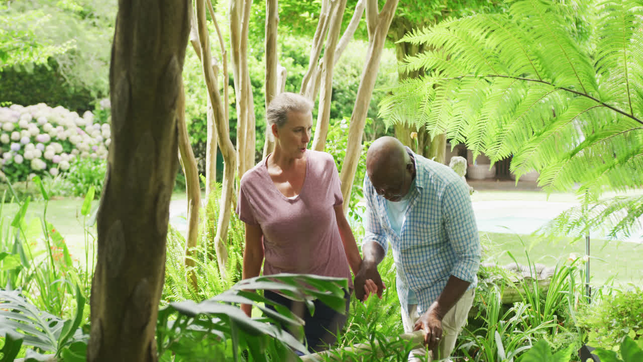Feliz pareja mayor diversa con camisas trabajando en el jardín.
