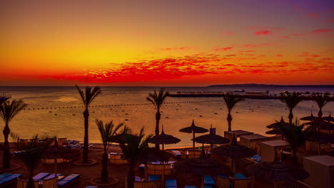 el amanecer dorado transcurre en una playa a lo largo del mar rojo cerca de hurghada, egipto.