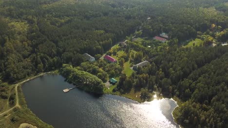 aerial view of lakeside village in a forest