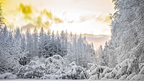 Llamarada-Solar-En-El-Cielo-Nublado-Timelapse-Sobre-Bosque-Boreal-Cubierto-De-Nieve-Blanca