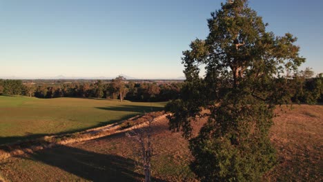 experimente la magia de un paisaje rural al anochecer, donde los colores vibrantes del cielo se encuentran con los verdes exuberantes de los campos y bosques en una muestra impresionante de la belleza de la naturaleza