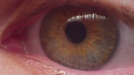 4k macro shot of an eye in slow motion, looking into the camera