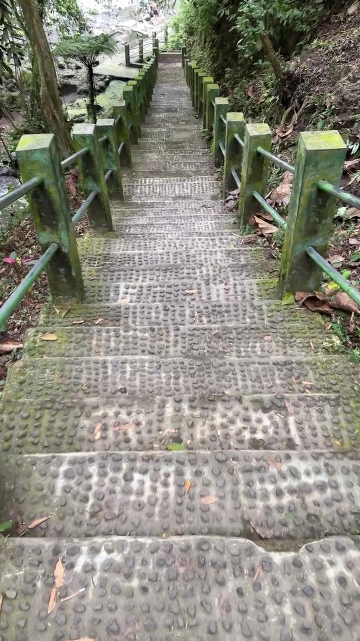 Walking Down Stone Stairs in a Lush Tropical Forest