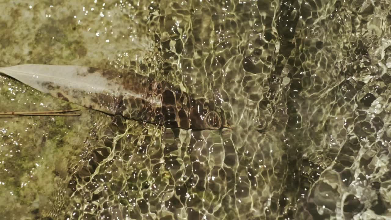 자연에 흐르는 물의 클로즈업 샷