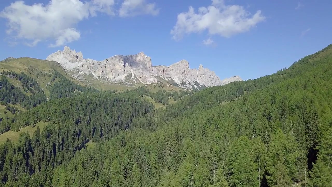 Drone che sorvola una foresta di pini con montagne e cielo blu.