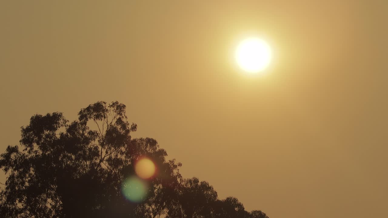 Sunrise Bright Orange Sun Hazey Clear Sky Big Tall Gum Tree Timelapse Australia Victoria Gippsland Maffra