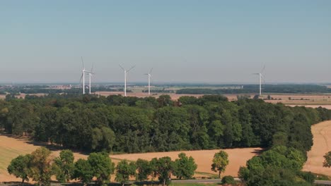 Fields-of-loversilesian-district-poland