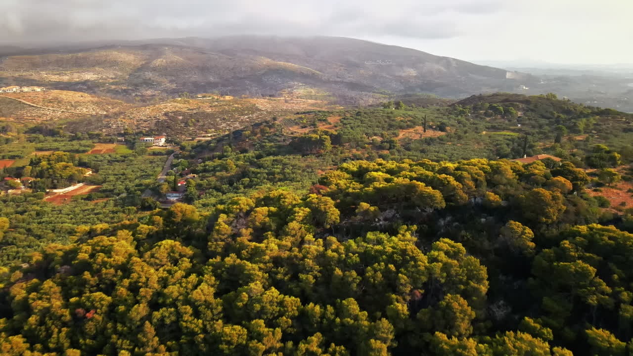 Aerial drone view of nature of Zakynthos, Greece. A lot of greenery, low hills, sunset, few buildings