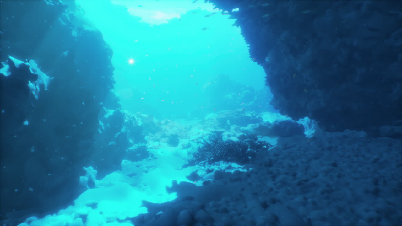 Exploring a vibrant underwater world filled with coral reefs and marine life