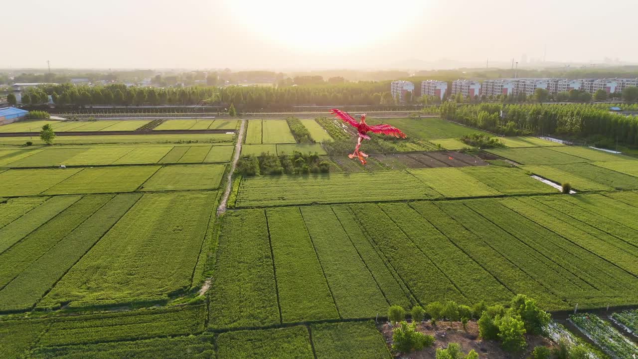 중국에서 공중에서 날아다니는 중국 현대 드론 카이트 드래곤의 공중 추적