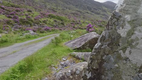 rugged and rural irish landscape, closeup and movement