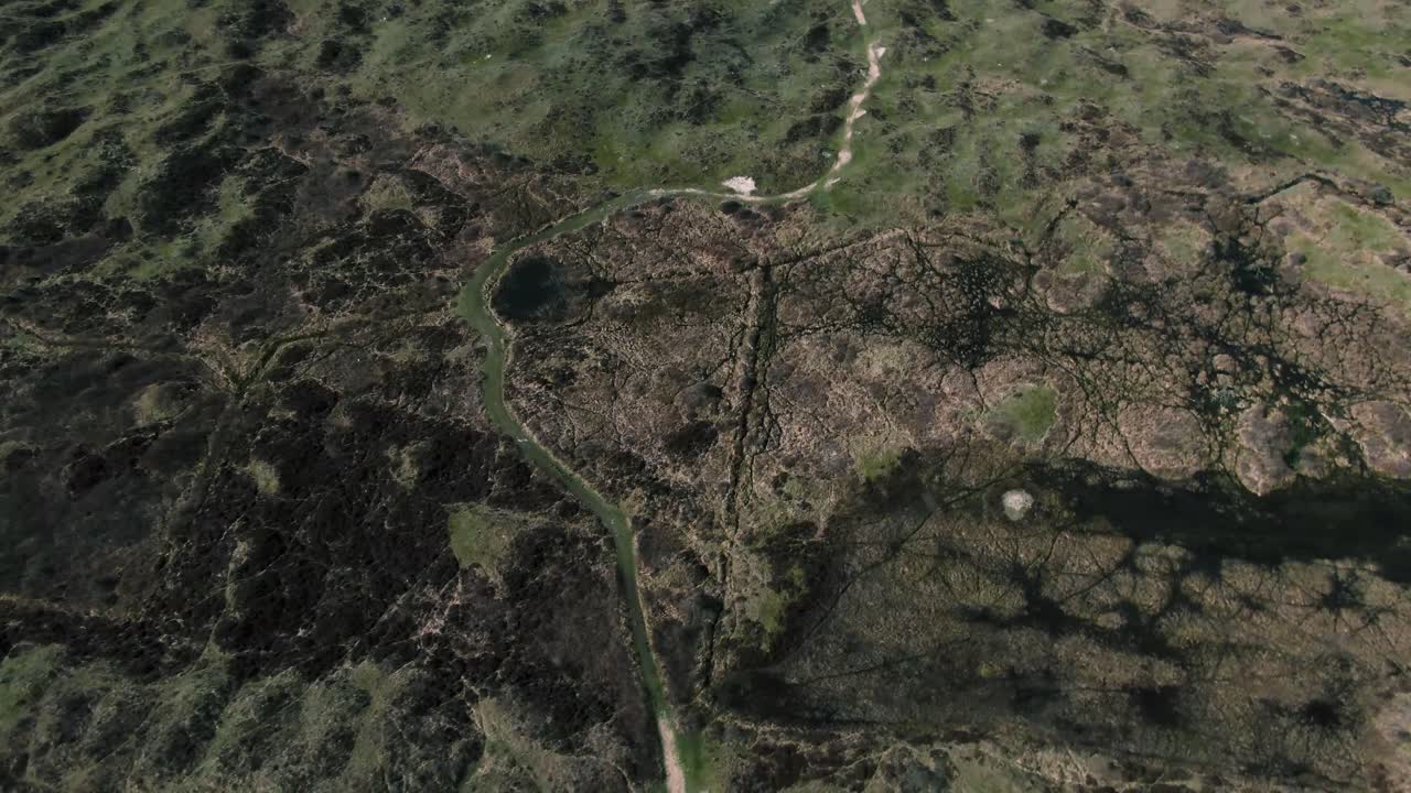 Aerial View of a Lush Green Marsh Landscape