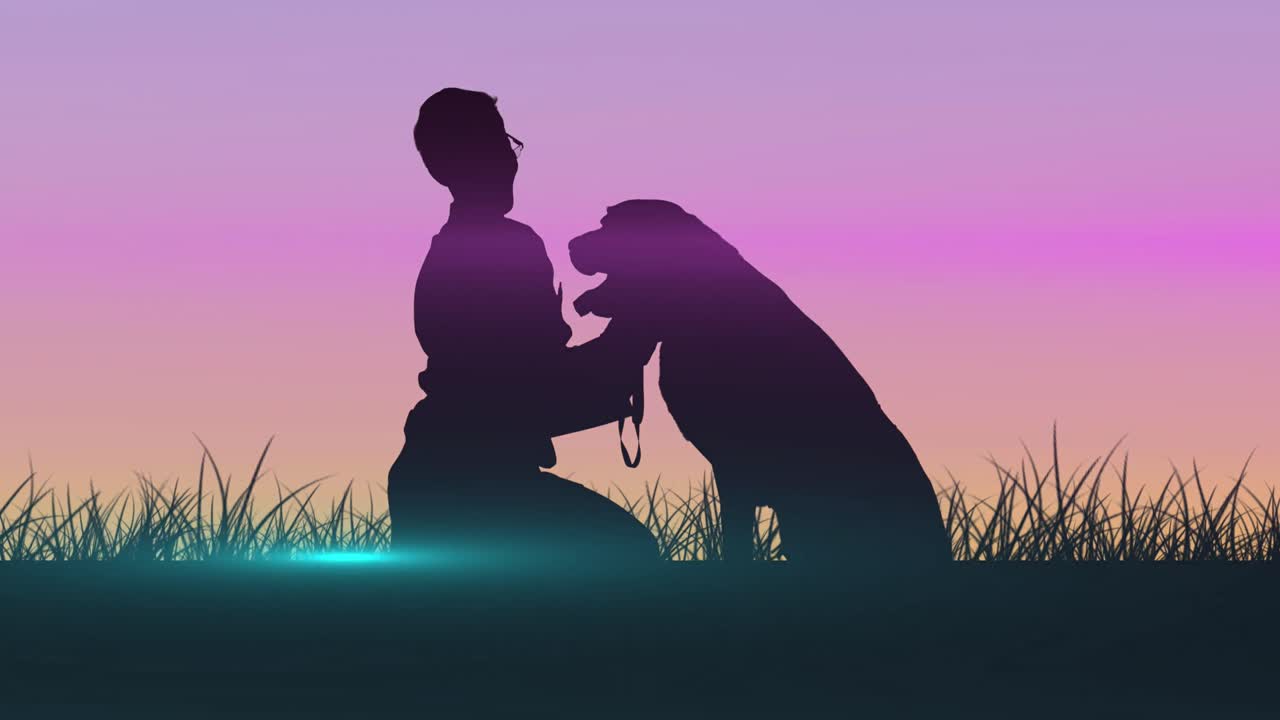 눈이 떨어지는 의 실루의 애니메이션