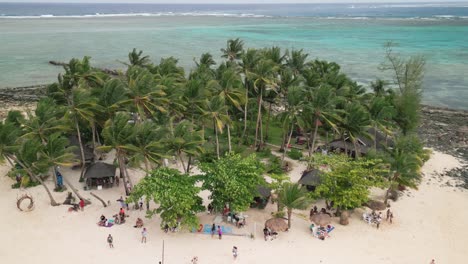 guyam island village surrounded by palm trees aerial view, philippines