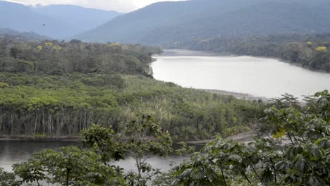 Pfanne-Des-Flusses-Im-Peruanischen-Dschungel