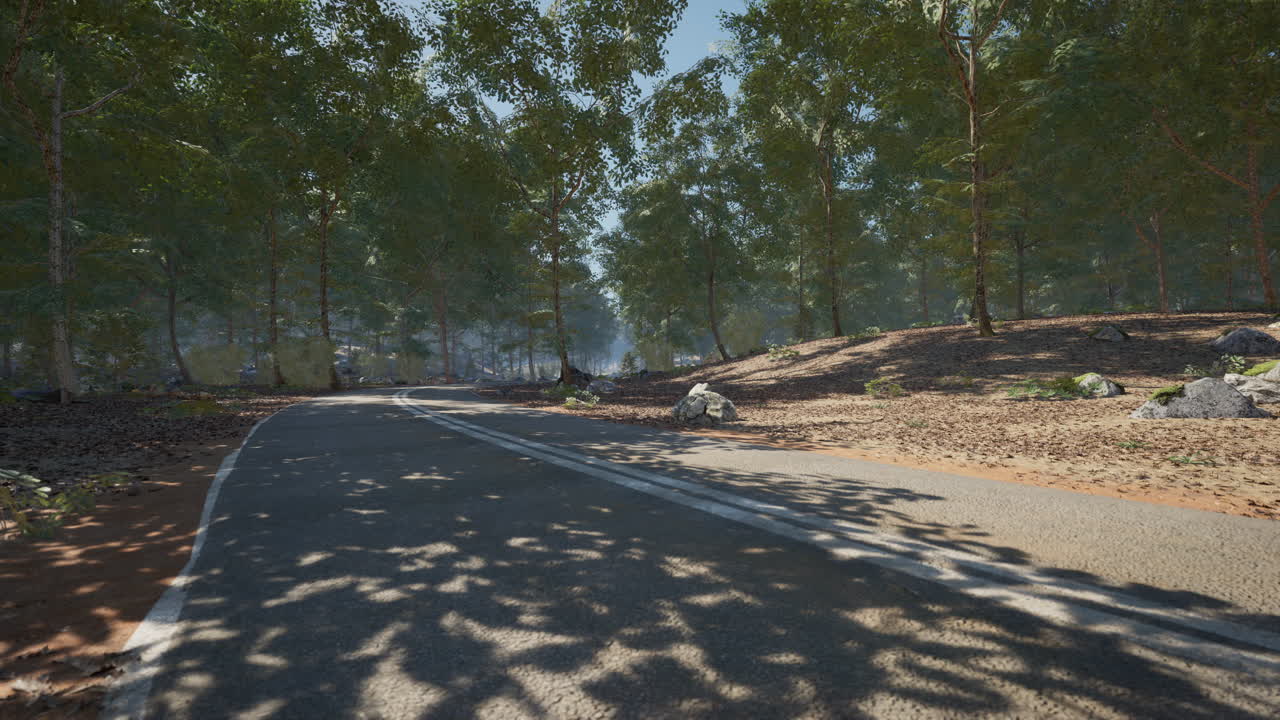 숲의 도로 장면