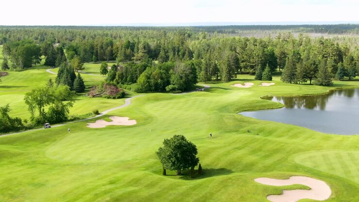 Ripresa aerea con teleobiettivo di golfisti che camminano e giocano su un campo da golf a Oakville, Ontario.