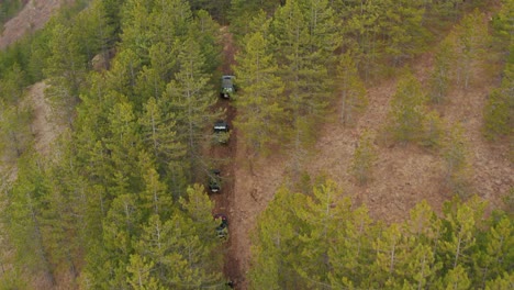 autumn scenery of hills with evergreen forest and cars driving between trees. aerial