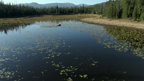 Dolly-over-reflective-lake-and-mountains-in-background