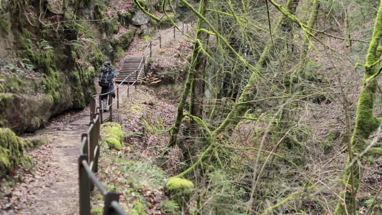 mochilero masculino caminando por un sendero rodeado de árboles cubiertos de musgo