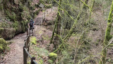 Male-backpacker-walking-down-hiking-path-surrounded-by-mossy-trees