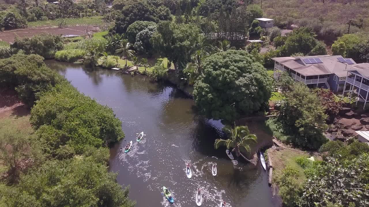 vista aérea de paddle boarders disfrutando de un paseo tranquilo a lo largo del río