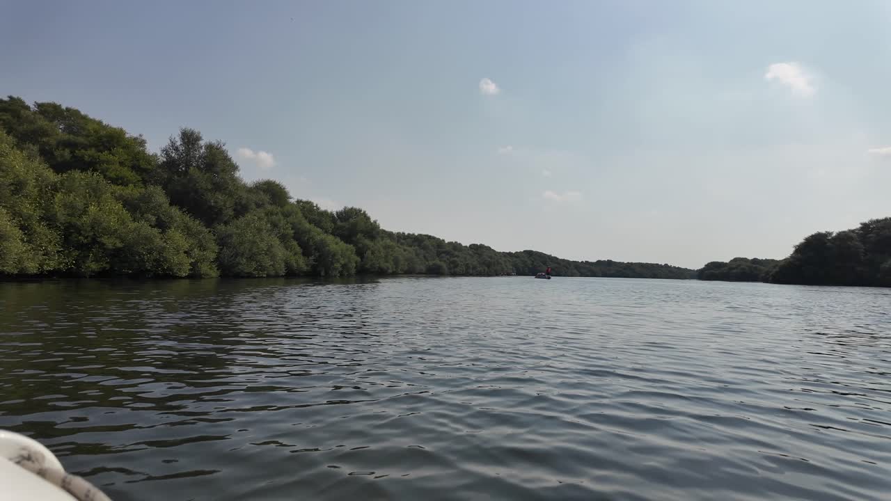 Al Zorah Mangrove in Ajman, UAE, a thriving ecosystem teeming with birdlife and natural beauty