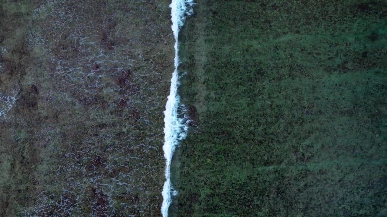Prospettiva dall'alto che mostra acqua oceanica turchese limpida con onde di schiuma bianca che si infrangono su una visibile barriera corallina sottomarina. Fantastica vista aerea dall'alto con drone