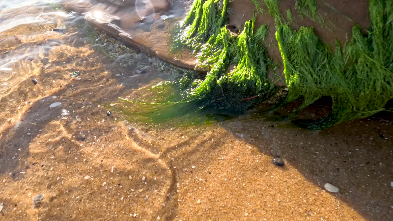 바다의 파도가 부드럽게 모스로 인 바위 위를 고