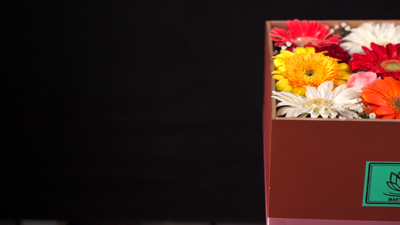 Gaveeske i kobber med gerbera på svart bakgrunn, slider-opptak.