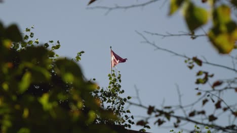 bandera letona ondeando en el viento