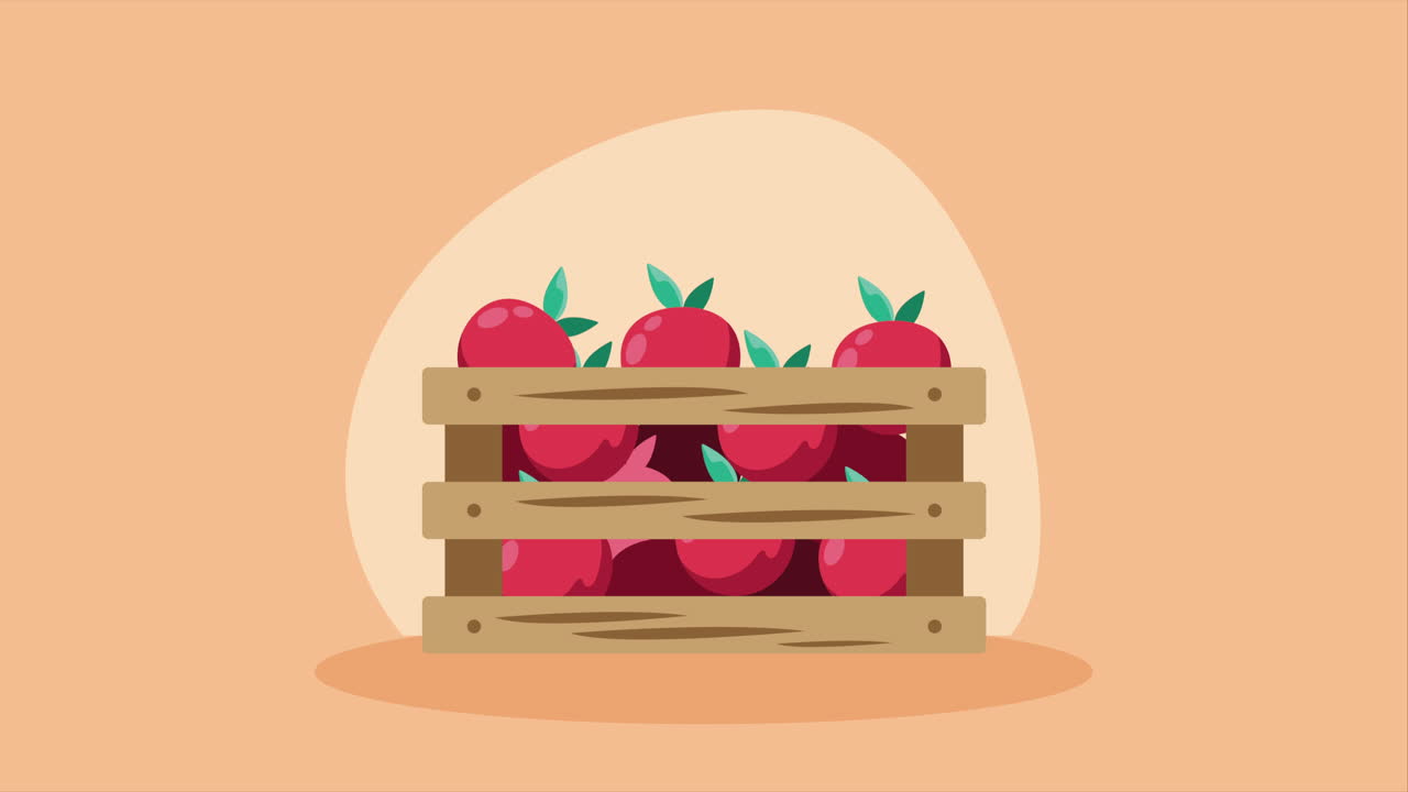 Fresh tomatoes in wooden basket animation | Premium Stock Video Footage