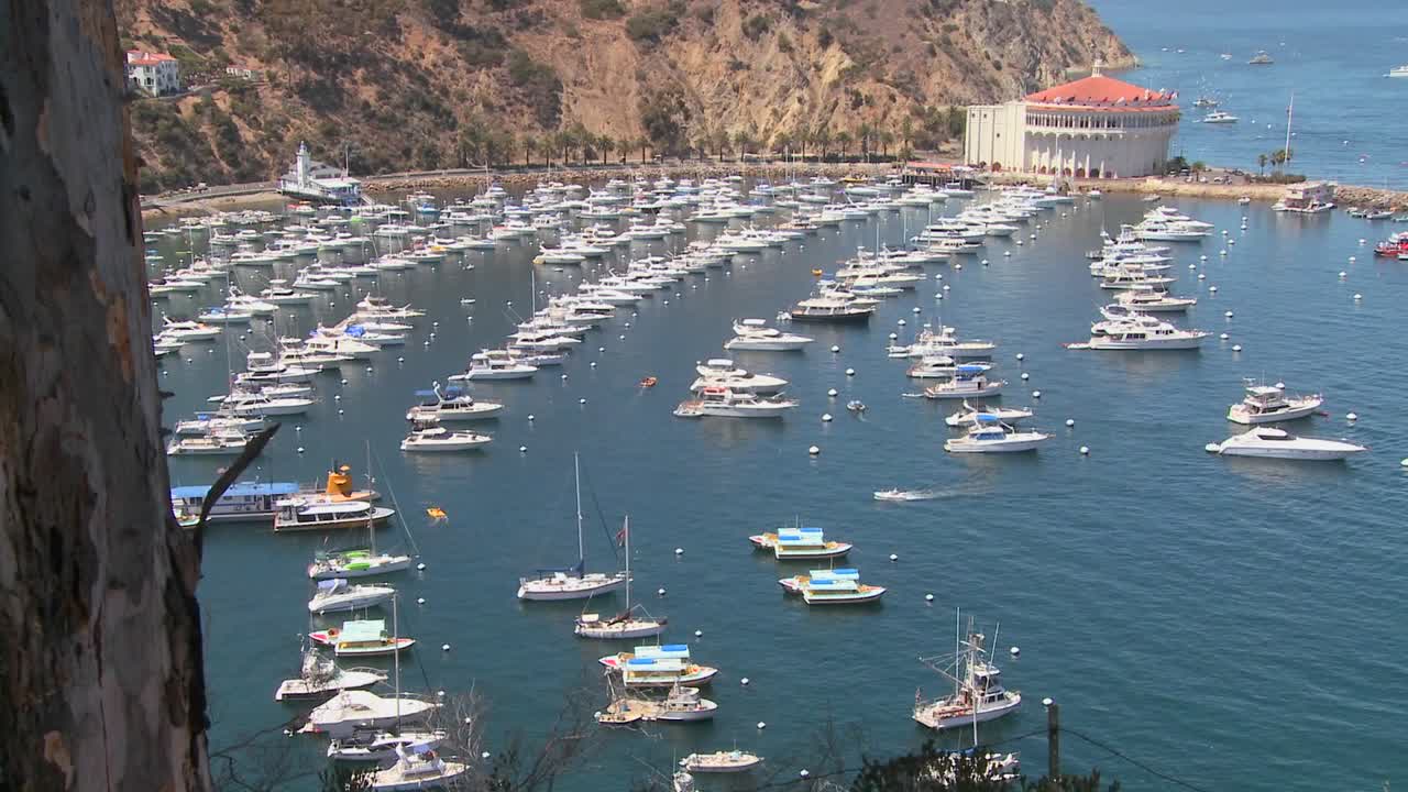 gran ángulo de visión general de la ciudad de avalon en la isla catalina con el teatro de la ópera en segundo plano.