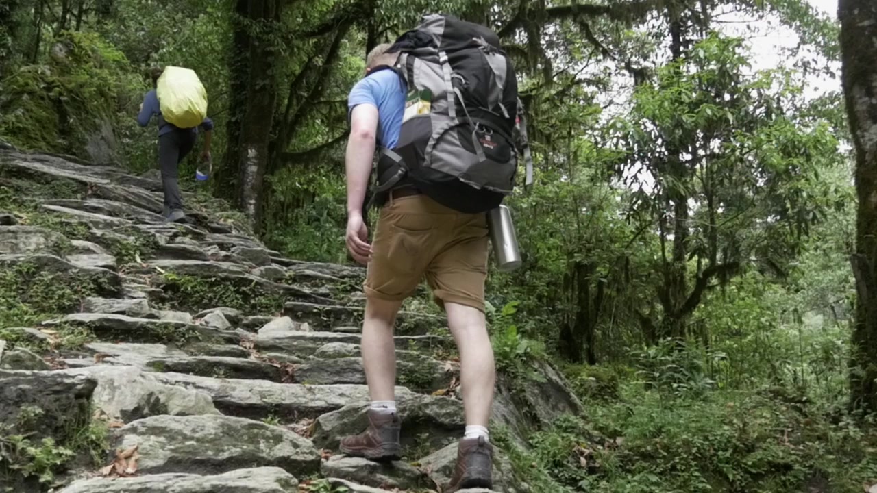 Pria dan Wanita Muda Mendaki Tangga Melalui Hutan di Himalaya Nepal, Wilayah Annapurna, Gerak Lambat.