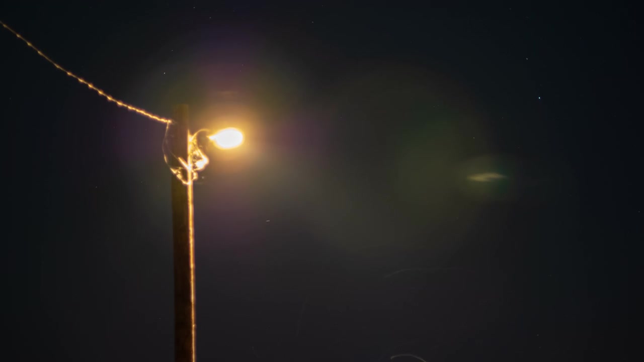Timelapse di stelle in movimento dietro un lampione con insetti e bagliori, concetto di inquinamento luminoso