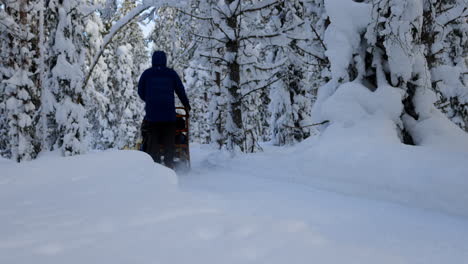 equipo de trineos tirados por perros husky tirando de trineos tirados por senderos forestales cubiertos de nieve