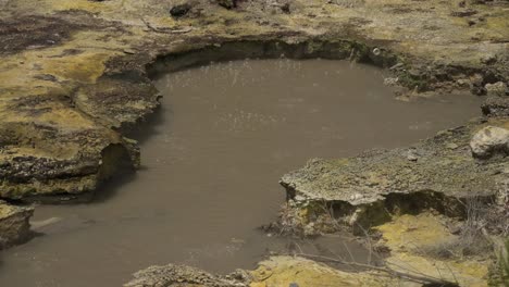 bubbles in a boiling hot geothermal volcanic pool at the "caldeiras" geysers, fumarolas of furnas lake, san miguel island, azores