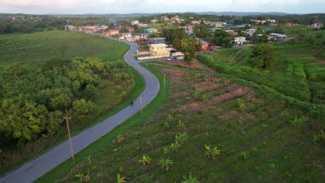 drone volando sobre una carretera llorona rodeado de plantas y motociclista