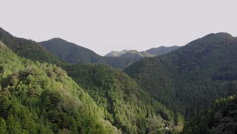 forward moving drone shot of japanese mountain with trees and light from the setting sun