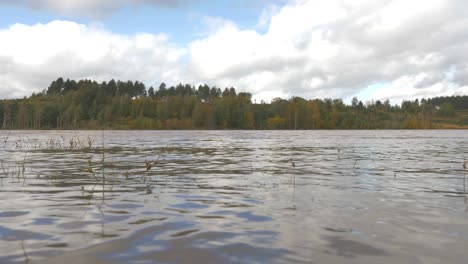 a lake in the belgian forest