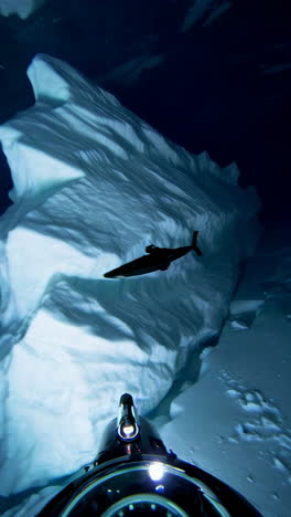 underwater exploration of an iceberg